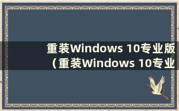 重装Windows 10专业版（重装Windows 10专业版步骤及详细教程）